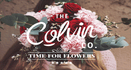 Thecolvinco.com